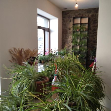 Aia Kazbegi Otel Dış mekan fotoğraf